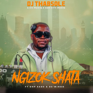 Ngizok Shata dari DJ ThabSole