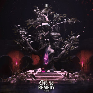 Album Remedy oleh Envine