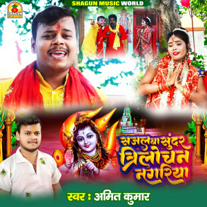 Album Sajal Ba Sundar Trilochan Nagariya oleh Amit Kumar