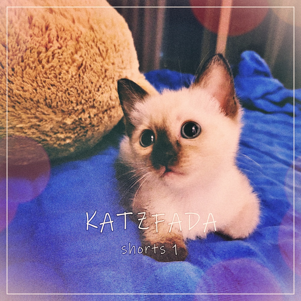 고양이 고양이 (feat. 엘리)