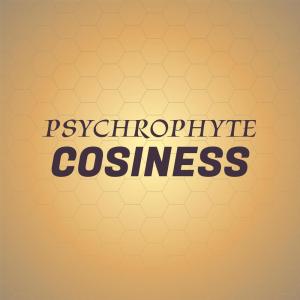 Dengarkan Psychrophyte Cosiness lagu dari Naka Nien dengan lirik
