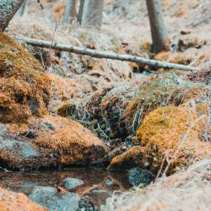 Listen to Calming Vibes song with lyrics from Meditation Rain Sounds