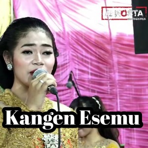 收听Erin Sabrina的Kangen Esemu歌词歌曲