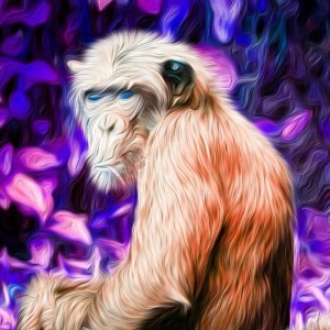 Listen to Monkey's House song with lyrics from Vristok