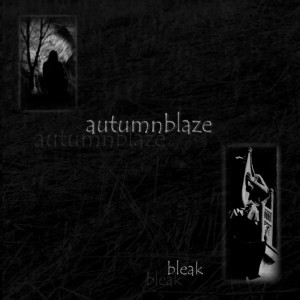 ดาวน์โหลดและฟังเพลง Bleak (其他) พร้อมเนื้อเพลงจาก Autumnblaze