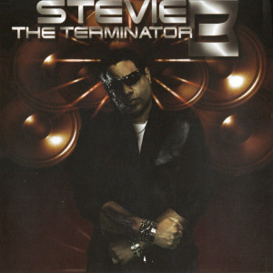 Stevie B的專輯The Terminator