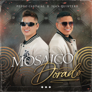 Pedro Carvajal的專輯Mosaico Dorado