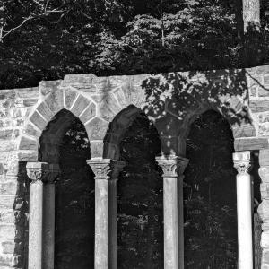 Cryptid的專輯canada geese