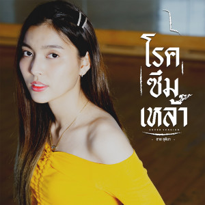 ดาวน์โหลดและฟังเพลง โรคซึมเหล้า (Cover Version) พร้อมเนื้อเพลงจาก ฮาย ชุติมา