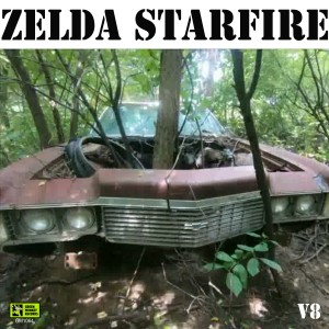 ดาวน์โหลดและฟังเพลง Gas Money (Live) พร้อมเนื้อเพลงจาก Zelda Starfire