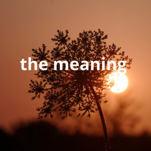 Listen to the meaning song with lyrics from Cardoso