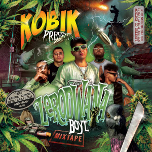 ดาวน์โหลดและฟังเพลง Soplica Freestyle (Explicit) พร้อมเนื้อเพลงจาก Kobik