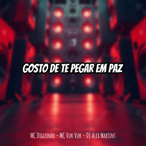 ดาวน์โหลดและฟังเพลง Gosto de Te Pegar em Paz (Explicit) พร้อมเนื้อเพลงจาก DJ ALEX MARTINS