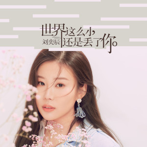 Listen to 世界这么小 还是丢了你 song with lyrics from 刘奕辰