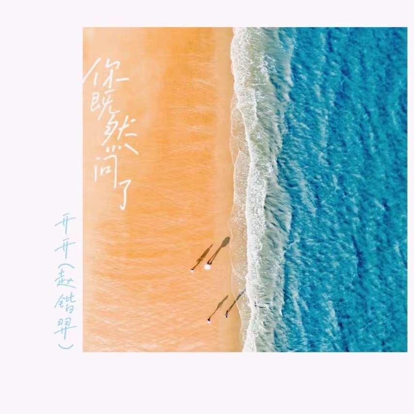 你既然问了 (完整版)