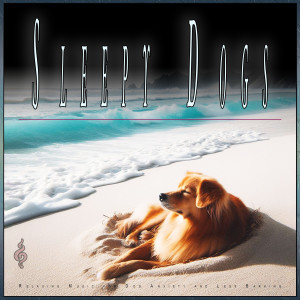 Calming Music for Dogs的專輯Sleepy Dogs: Relaxing Music for Dog Anxiety and Less Barking