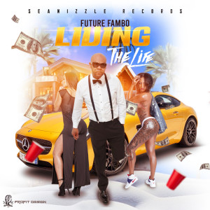 Album Living The Life from Seanizzle