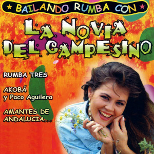 Dengarkan Perdido Amor lagu dari Rumba Tres dengan lirik