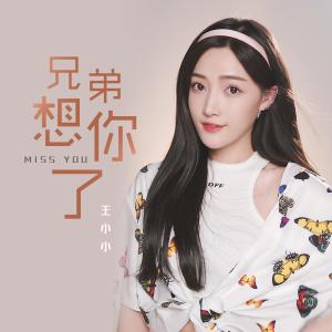 收聽王小小的兄弟想你了 (女生版伴奏) (女生版)歌詞歌曲