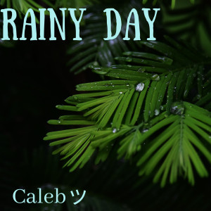 Listen to Rainy Day, Pt.1 song with lyrics from Caleb