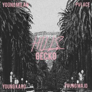 ดาวน์โหลดและฟังเพลง Hills (Explicit) พร้อมเนื้อเพลงจาก Gecko
