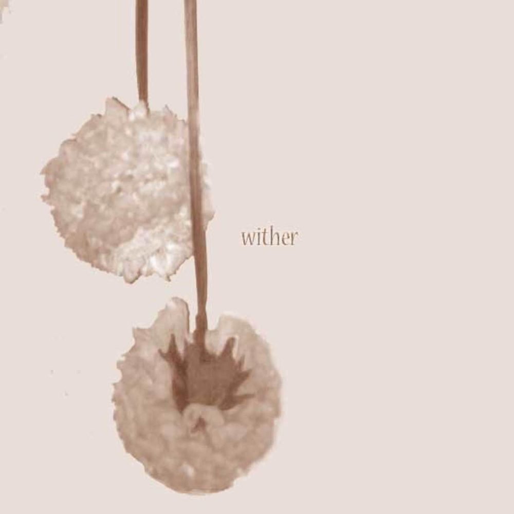 Wither (Explicit)