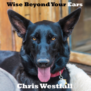 Listen to Cytokine Stormbringer song with lyrics from Chris Westfall