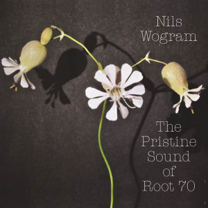 ดาวน์โหลดและฟังเพลง Ambiguity (Instrumental) พร้อมเนื้อเพลงจาก Nils Wogram