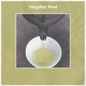 Various的专辑Singular Most