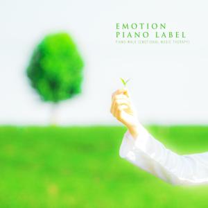 Various Artists的專輯Piano Walk (Emotional Music Therapy)