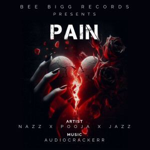 Album Pain from Pooja