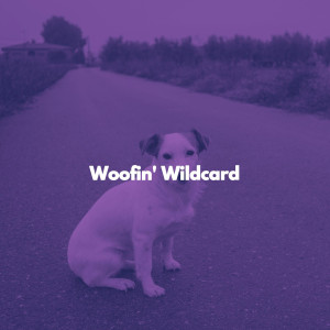 Frühstück Jazz Playlist的專輯Woofin' Wildcard