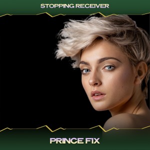 Stopping Receiver的專輯Prince Fix