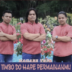 Album Timbo Do Hape Permainanmu from 