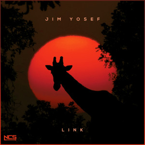 Jim Yosef的專輯Link