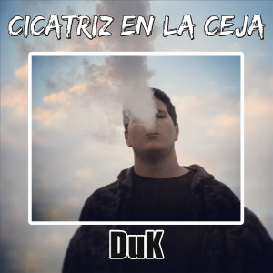 Listen to Cicatriz En La Ceja song with lyrics from Duk