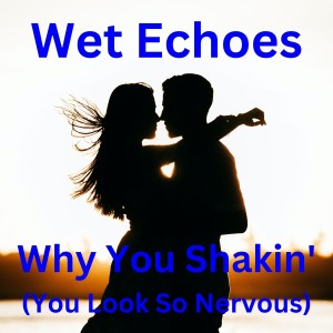 收聽Wet Echoes的Why You Shakin' (You Look so Nervous)歌詞歌曲