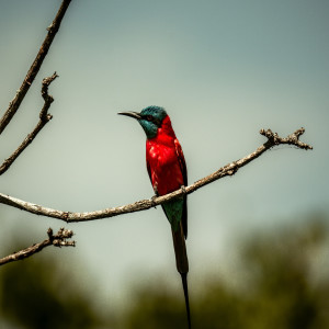 ดาวน์โหลดและฟังเพลง Test Test Don't Release (Explicit) พร้อมเนื้อเพลงจาก Frosty matt Koopa