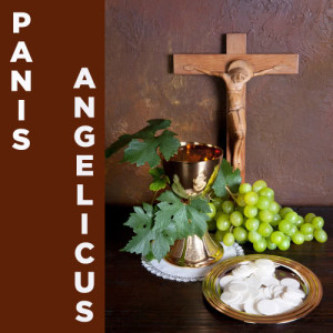 Catholic Piano Maestro的專輯Panis Angelicus: 20 Catholic Songs of Prayer