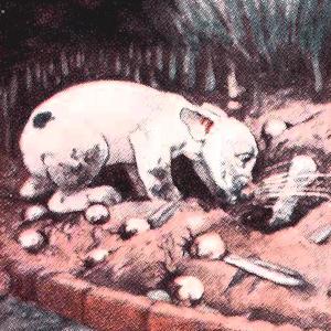 收聽King Oliver's Jazz Band的Working Man Blues歌詞歌曲