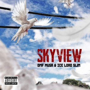 Listen to Skyview (Explicit) song with lyrics from Dmf Musa