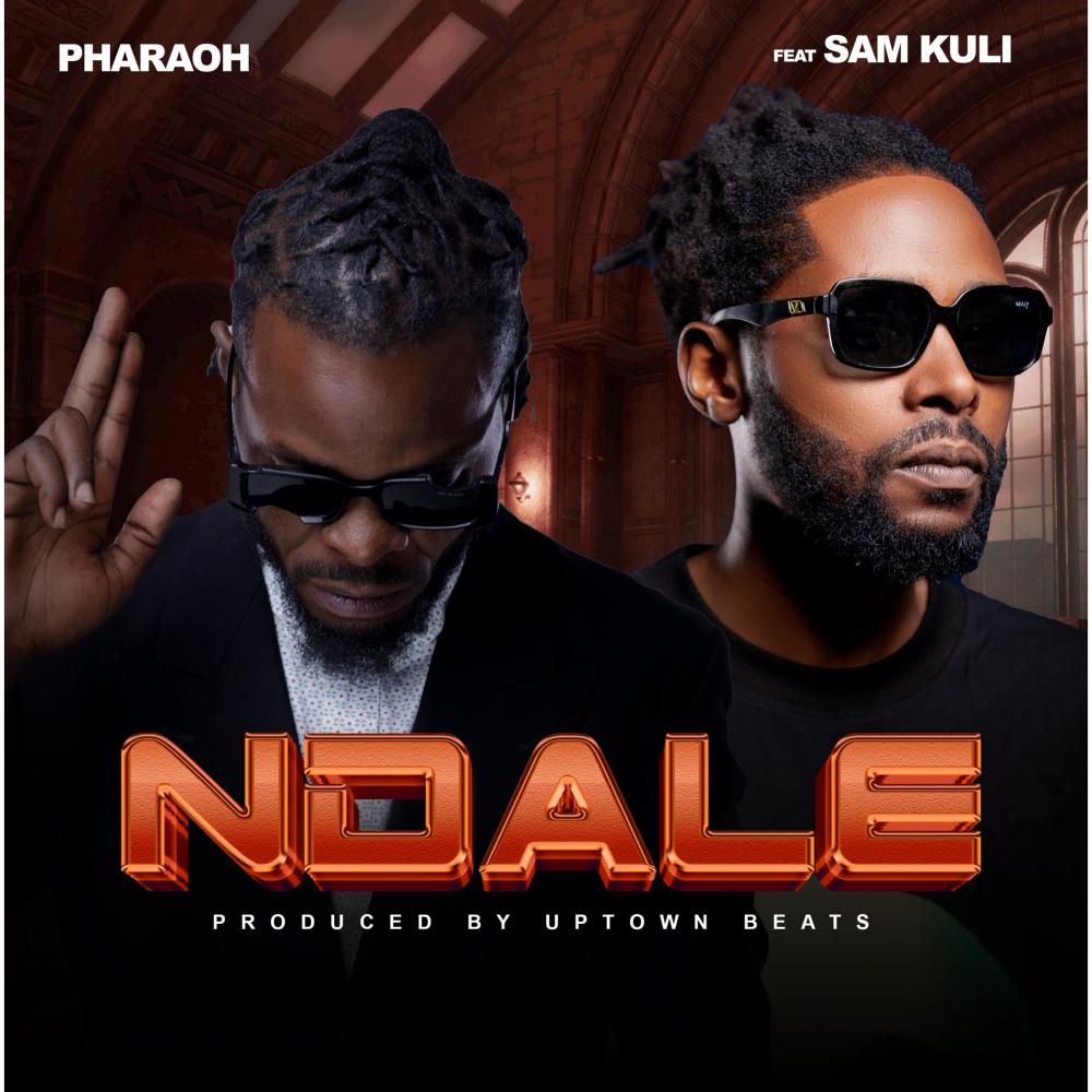 Ndale (feat. Sam Kuli)