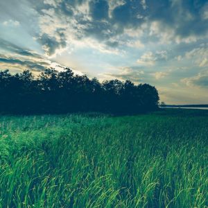 Listen to Stress Reliever song with lyrics from Relaxing Spa Music