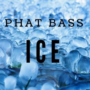 Album Ice from phat bass