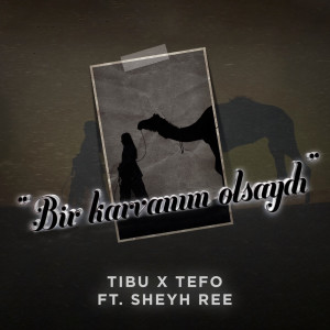 Listen to Bir Karvanım Olsaydı song with lyrics from Tibu