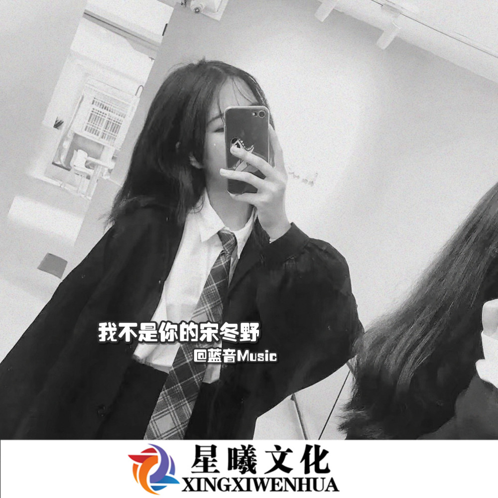 完美生活 (DJ版)