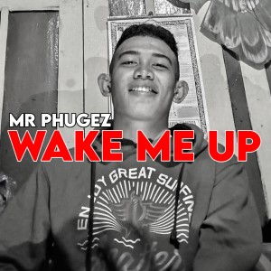 收聽Mr Phugez的Wake Me Up歌詞歌曲