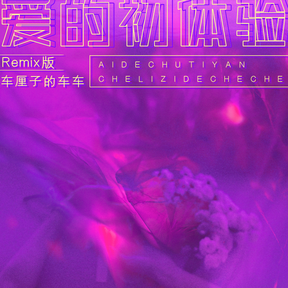 爱的初体验 (Remix)