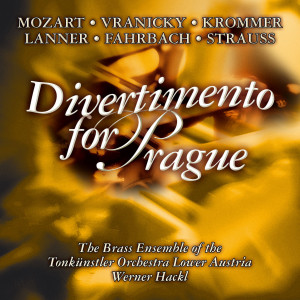 ดาวน์โหลดและฟังเพลง Wolfgang A. Mozart: Sechs deutsche Tänze พร้อมเนื้อเพลงจาก The Brass Ensemble Of The Tonkuenstler Orchestra