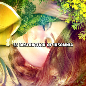 Album 33 Destruction Of Insomnia oleh Classical Lullabies